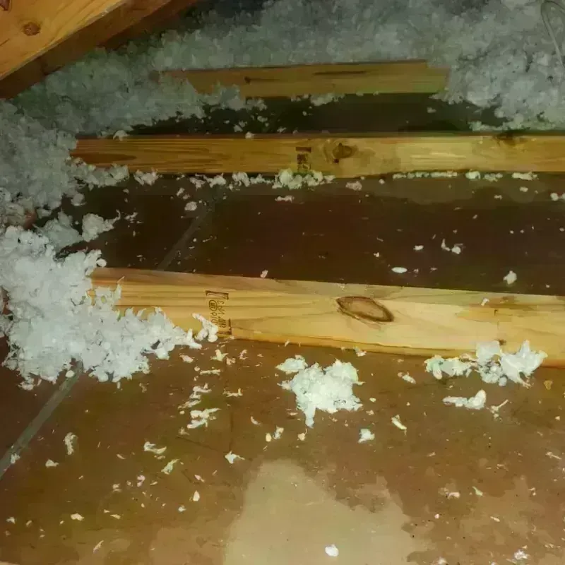 Attic Water Damage in Tallassee, AL