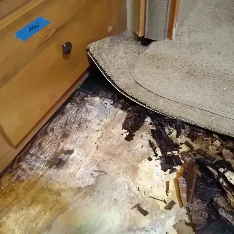 Wood Floor Water Damage in Tallassee, AL